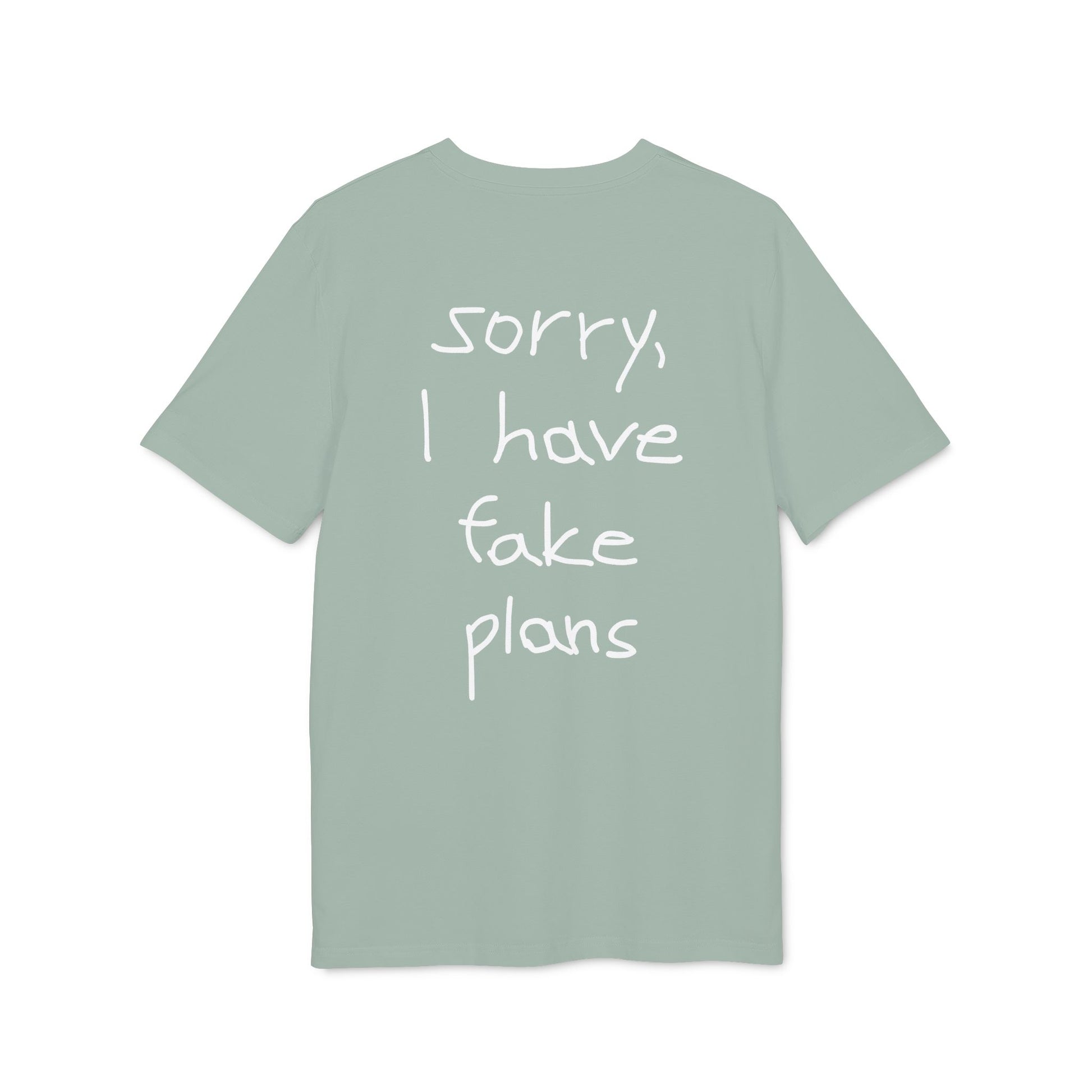 sorry I have fake plans