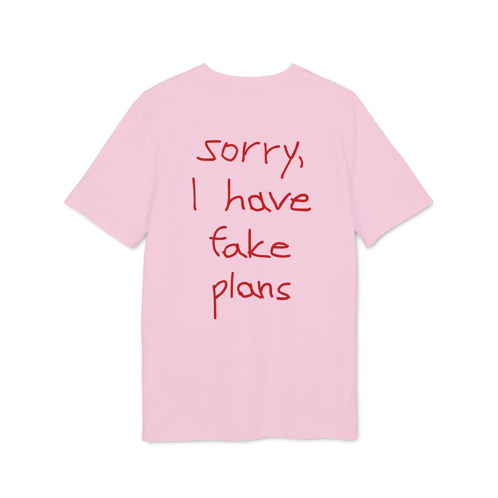 sorry I have fake plans