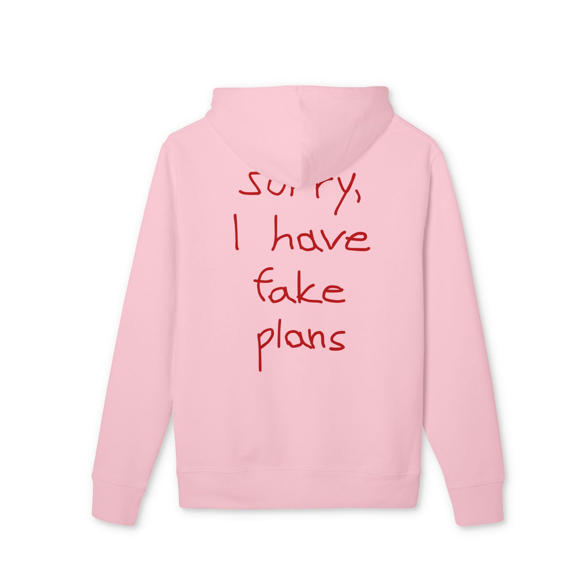 sorry I have fake plans